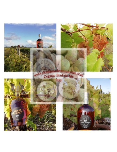 Cognac 635 Brut de fût