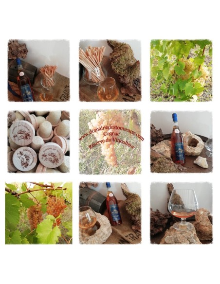 Exceptionnel ce Cognac Réserve du viticulteur, de Charente Maritime !