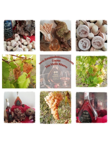 Cognac Très vieille Réserve