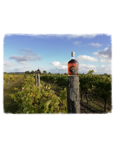 Cognac 635 Brut de fût