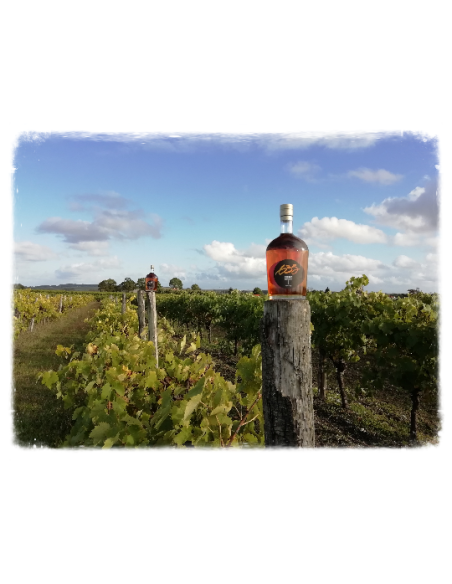 Cognac 635 Brut de fût
